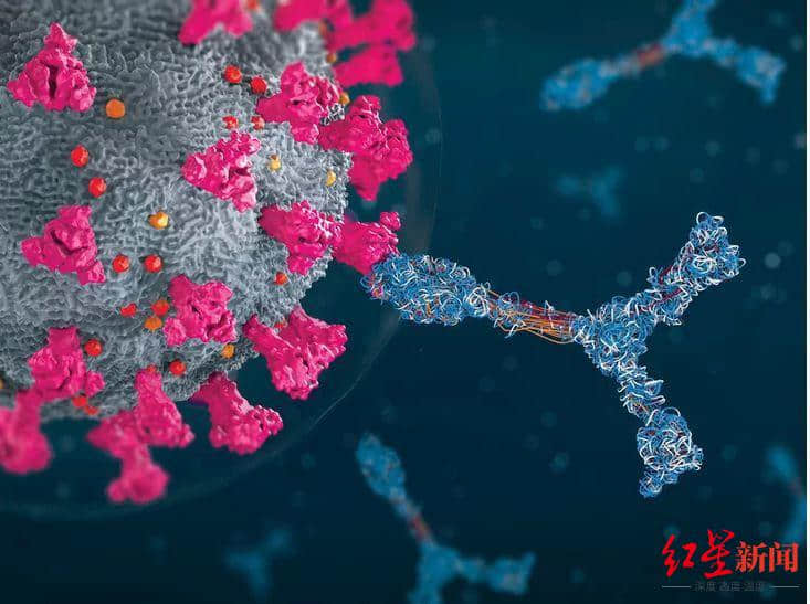 国药集团正在研发两款新冠特效药