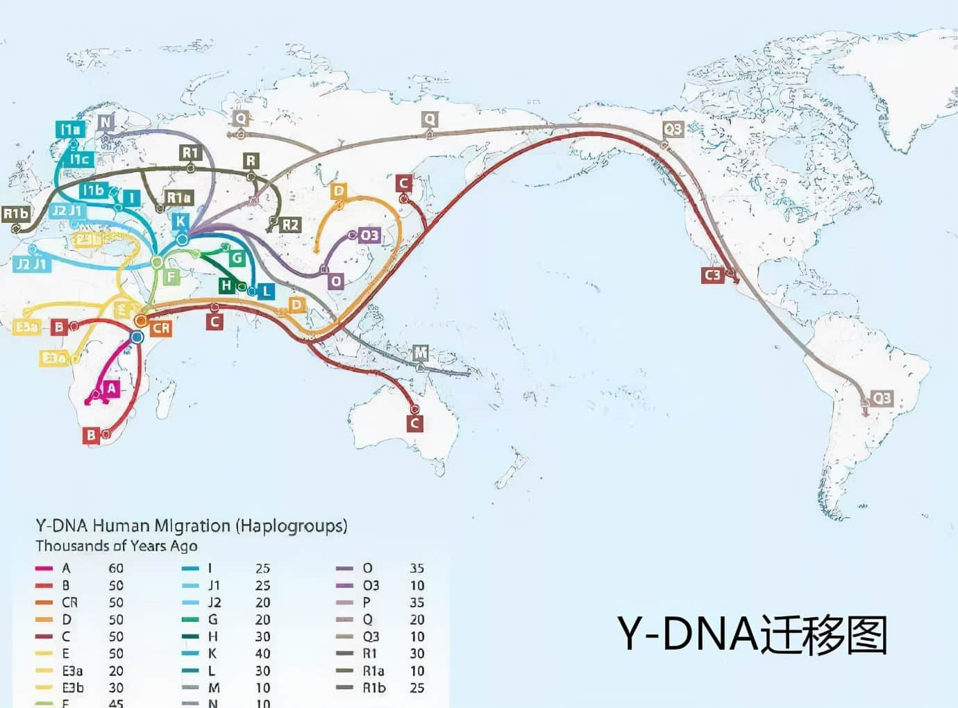 6-9万年前,生活在非洲的一位男性,是现代所有男性的共同祖先