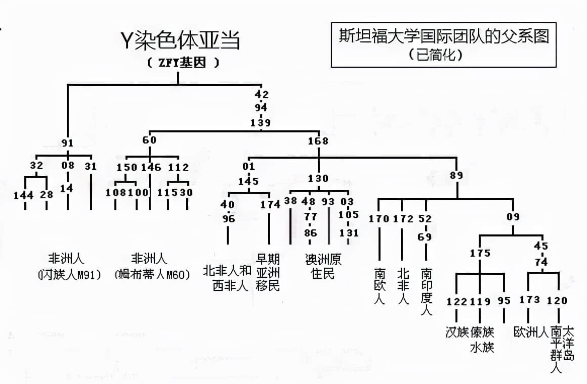 6-9万年前,生活在非洲的一位男性,是现代所有男性的共同祖先