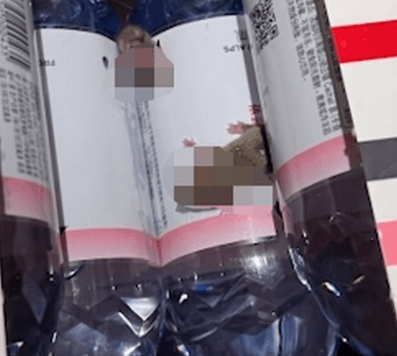 女子网购矿泉水,竟在箱内发现活老鼠!天猫超市上门道歉:全面整顿仓配体系