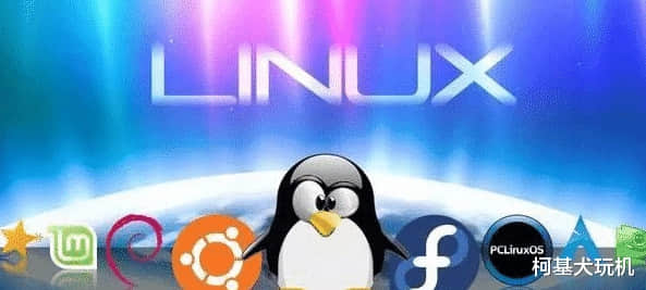 国内目前推荐用Linux系统取代Windows系统，如何看？