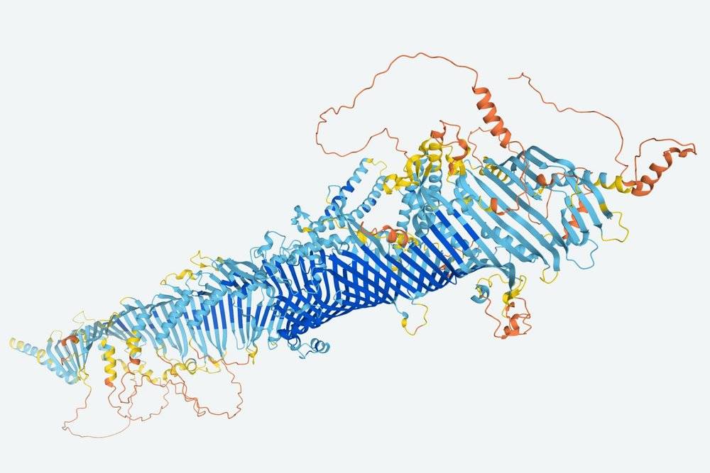 4年亏损250亿,“狗神”过的并不好