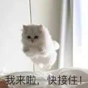 EDG夺冠的概率有多少?