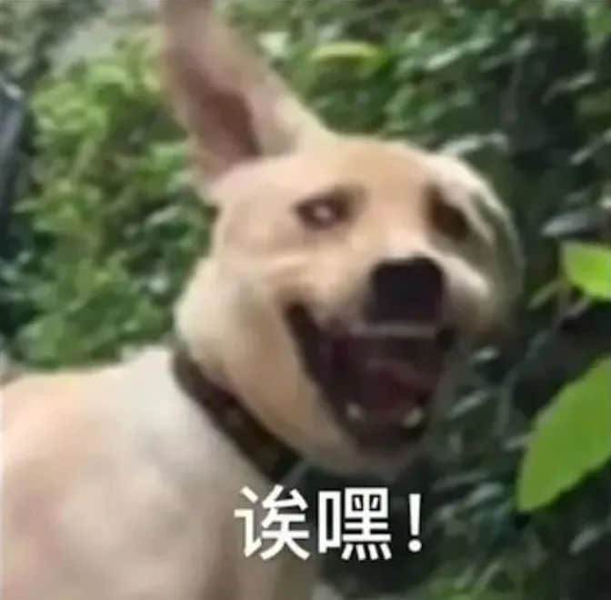 微信突然更新！一键查岗功能来啦!