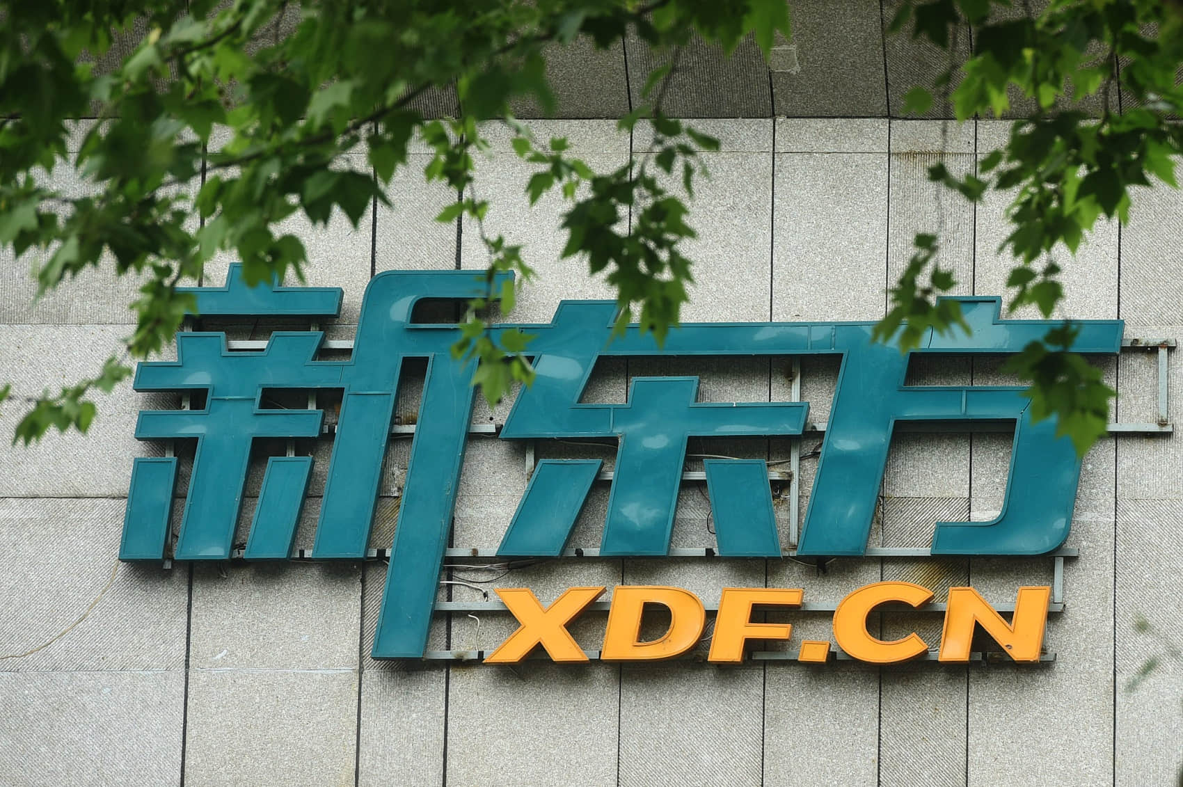 俞敏洪:新东方业务调整,捐献近八万套课桌椅