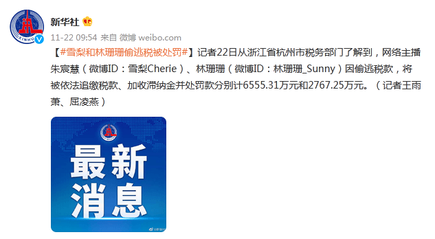 雪梨和林珊珊偷逃税被处罚