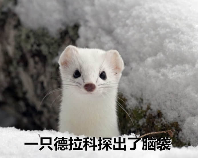 哈利波特手游卡牌不简单！背后的故事你知道吗？