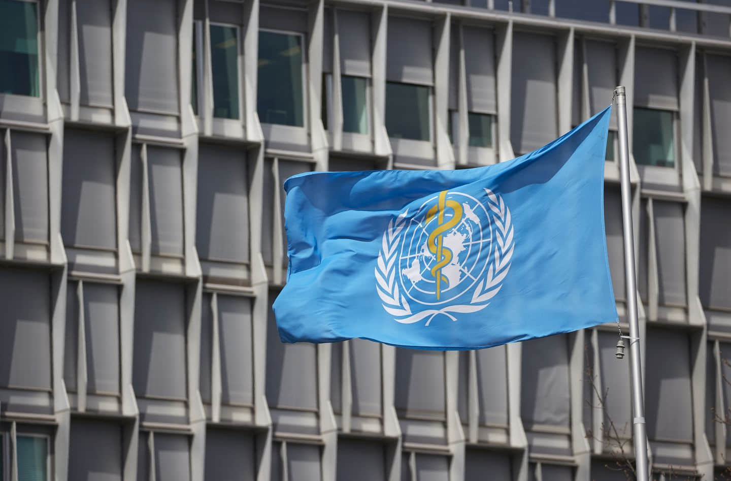 世卫:已收到近百个新毒株序列报告 一些关键突变令人担忧