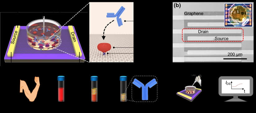 复旦《JACS》《Nano Letters》:新型晶体管实现核酸快速检测!