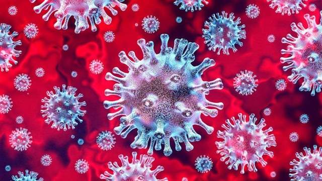 地球上万物都是相生相克的，那么病毒在自然界的天敌是什么？
