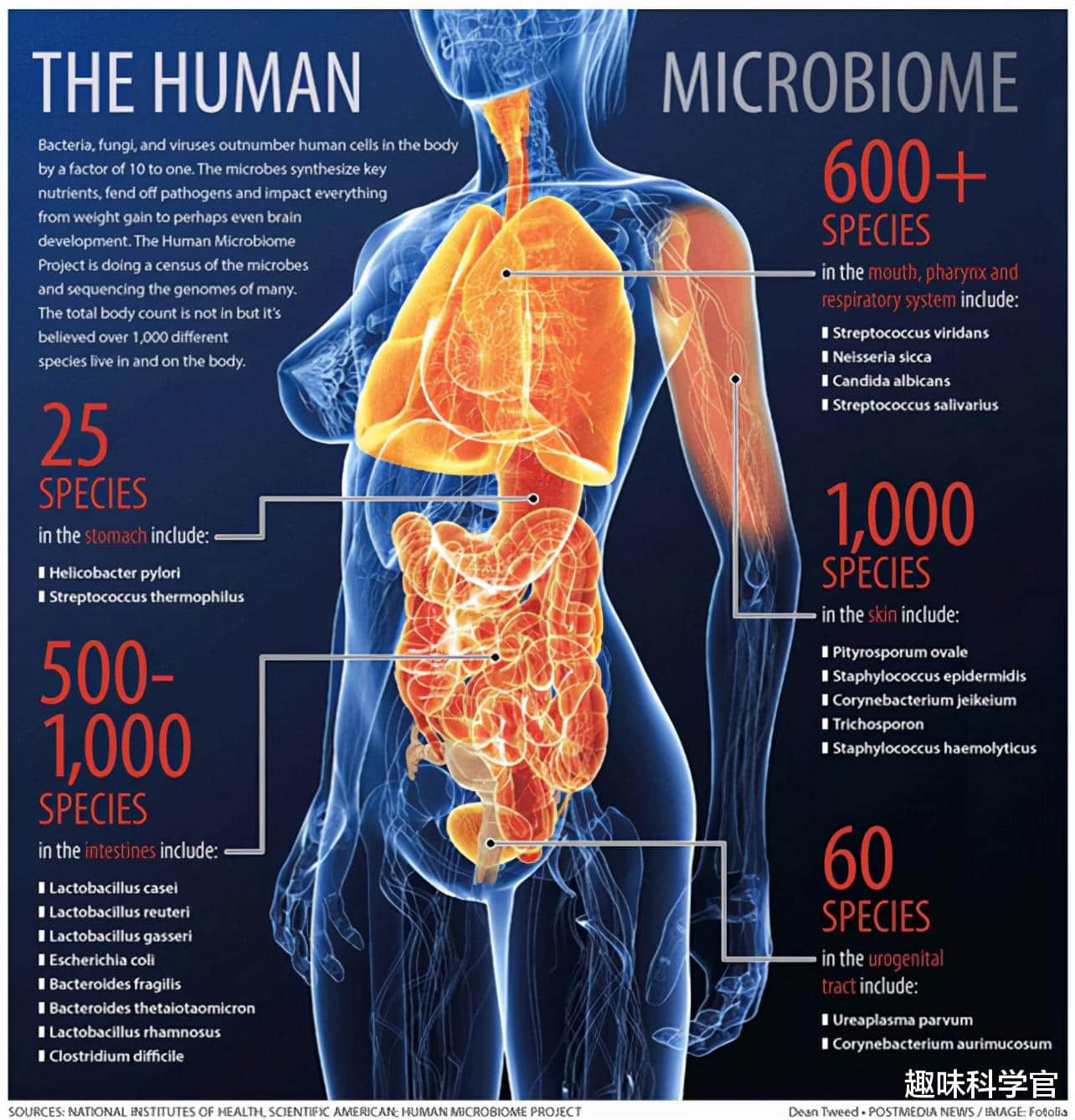 神奇诡异的皮肤!全部由死细胞组成,科学家至今难以对其解释