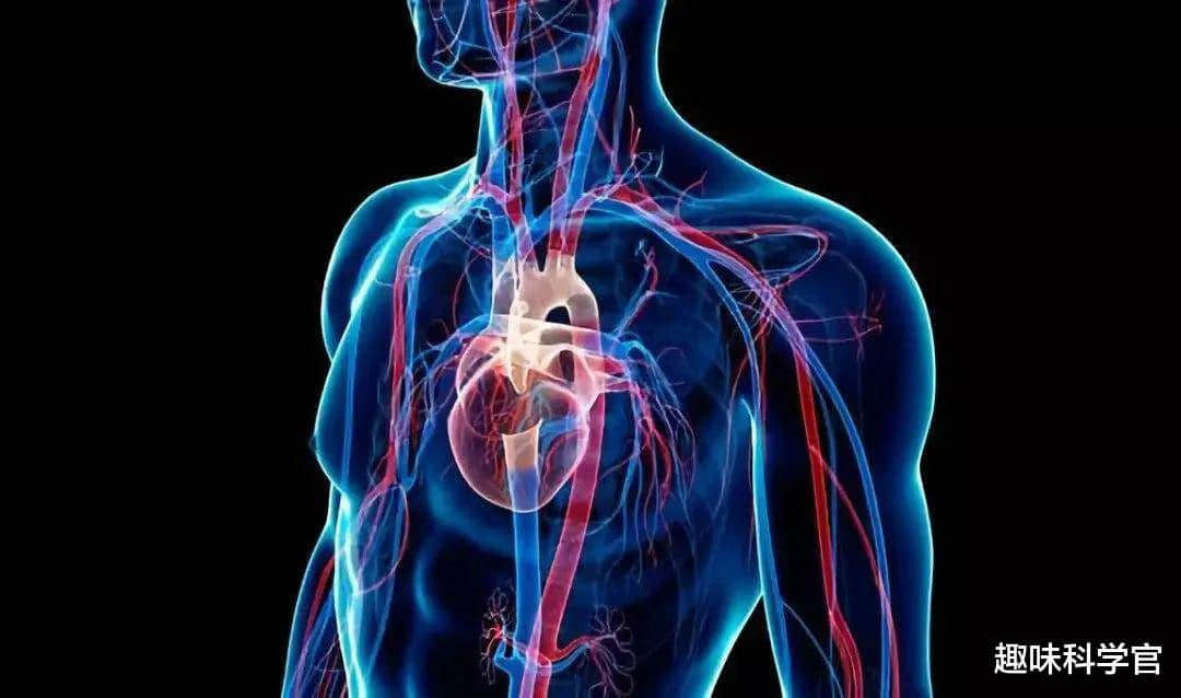 神奇诡异的皮肤!全部由死细胞组成,科学家至今难以对其解释