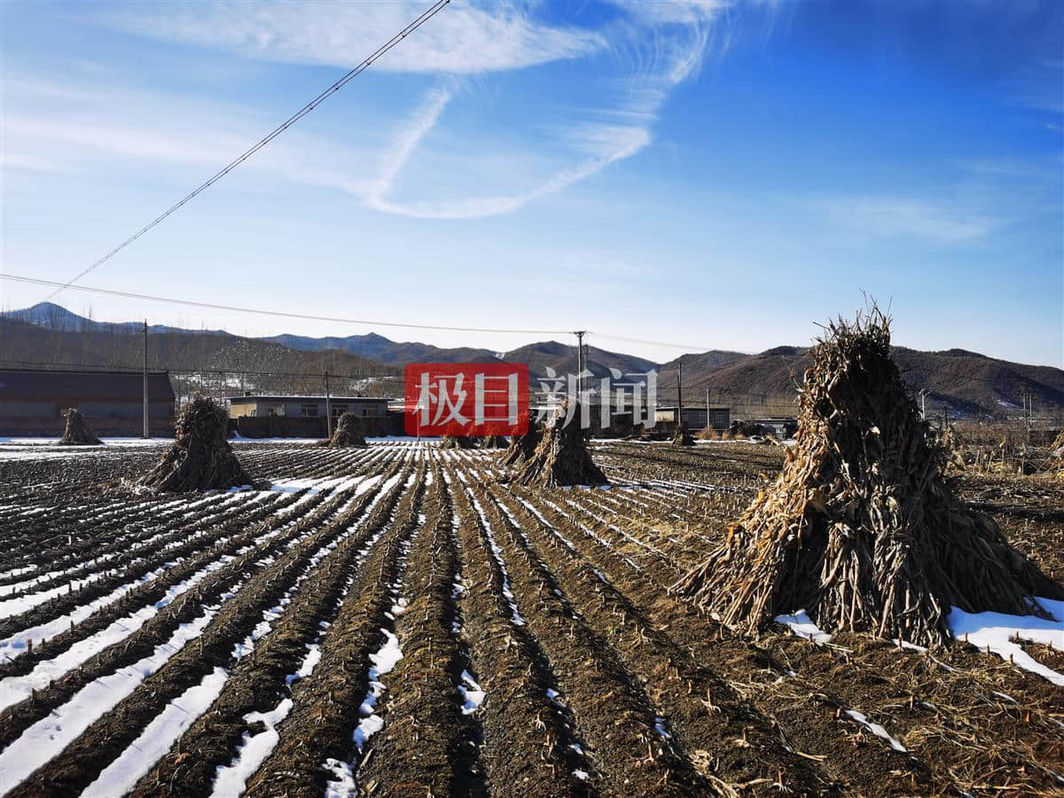 探访“土味顶流”张同学:一天接待访客65人,村民希望能沾光