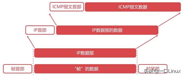 计算机网络知识点全面总结(这也太全了吧!)