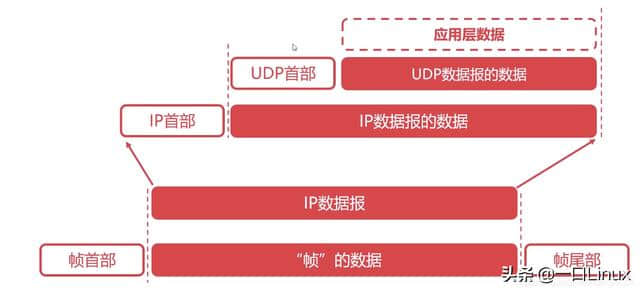 计算机网络知识点全面总结(这也太全了吧!)