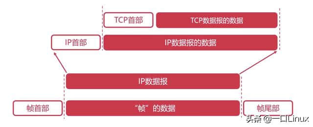 计算机网络知识点全面总结(这也太全了吧!)