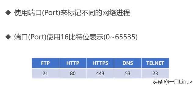 计算机网络知识点全面总结(这也太全了吧!)