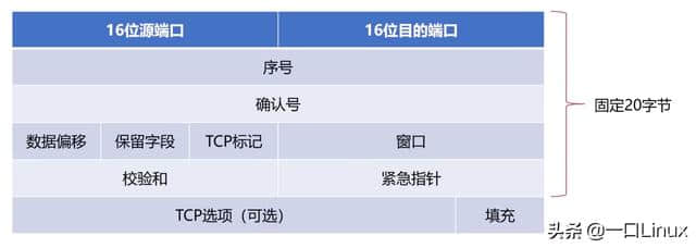 计算机网络知识点全面总结(这也太全了吧!)