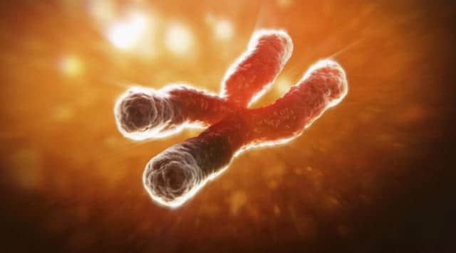 人类永生找到新途径?端粒酶合成关键NMN,有人在服用相关营养剂
