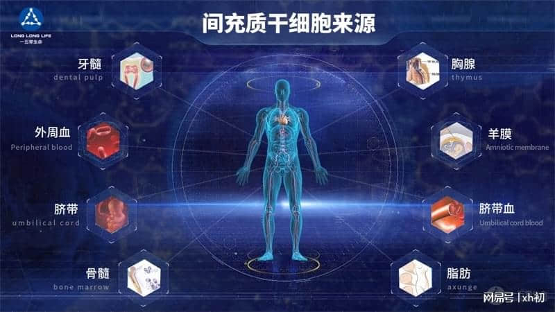 一文详解:打干细胞回落期是多久?脐带血干细胞回输好处?