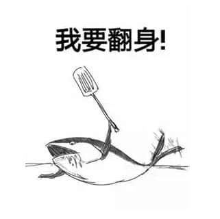 光荣的真三国无双系列真的没救了么?