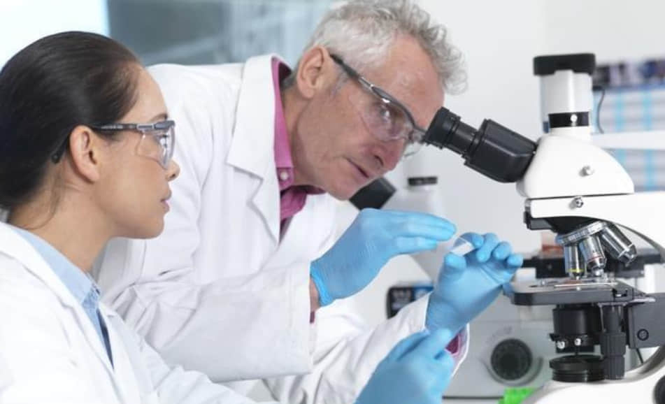 7个月年轻8岁,新加坡科学家找到天然抗老分子,暂未发现副作用