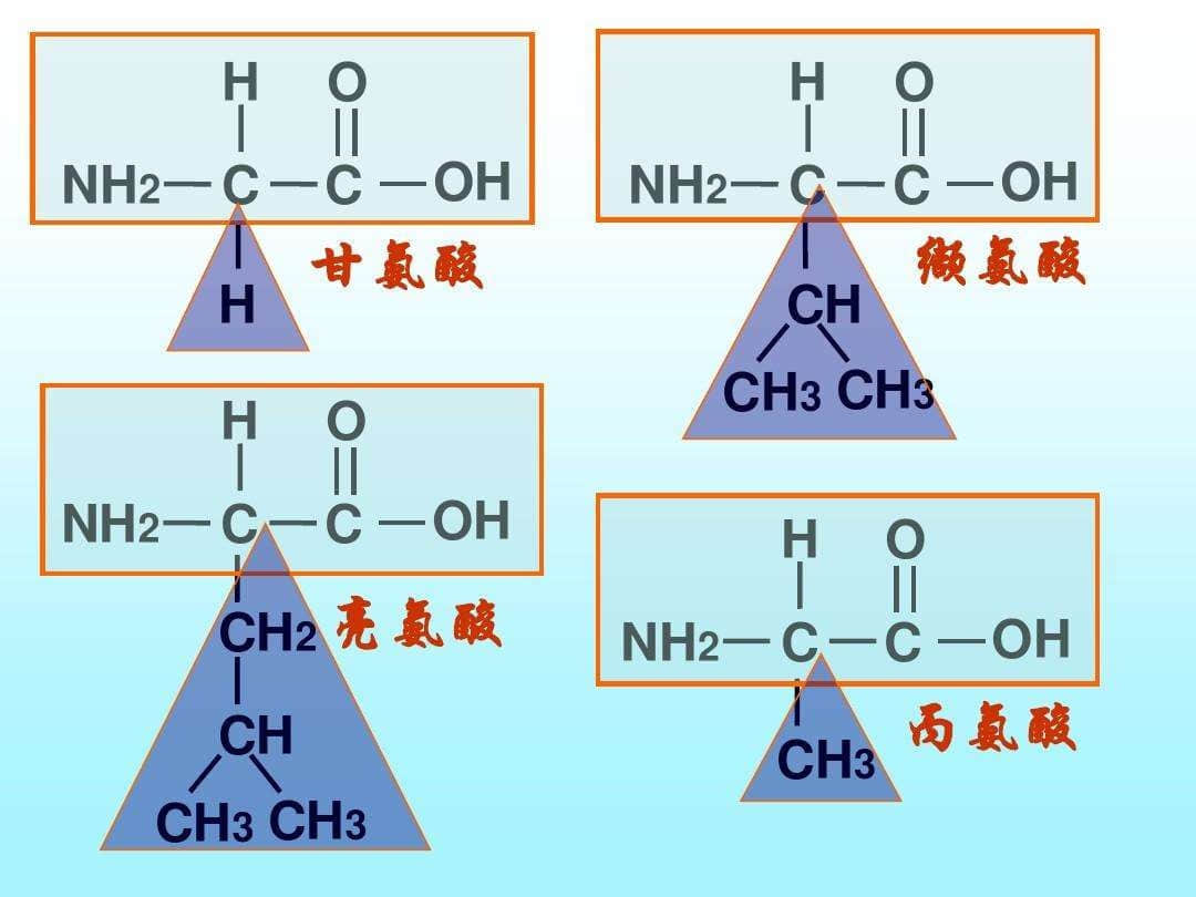 胸小的原因找到了!3.5万年前基因突变,让95%的汉族携带小胸基因