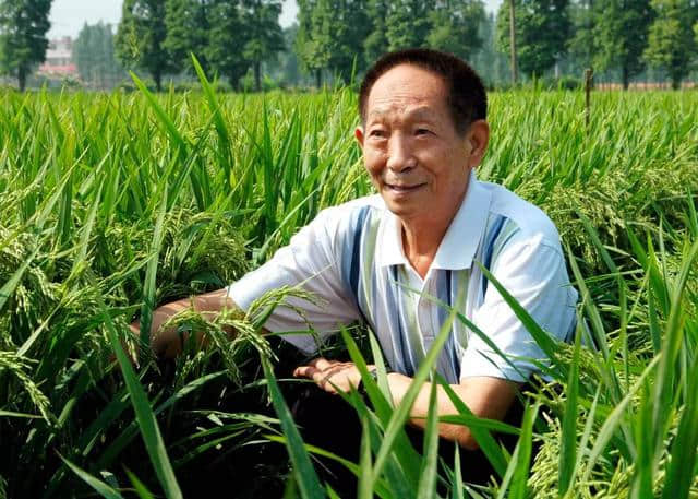 野生动物也会杂交,其后代有多惨?是否该禁止动物杂交?