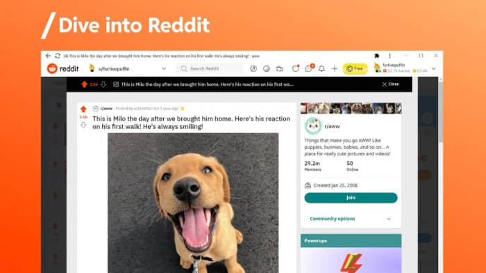 知名社区Reddit以PWA形式上架Microsoft Store