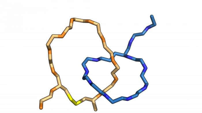 研究人员利用肽制成出世界上最小的生物力学连接结构