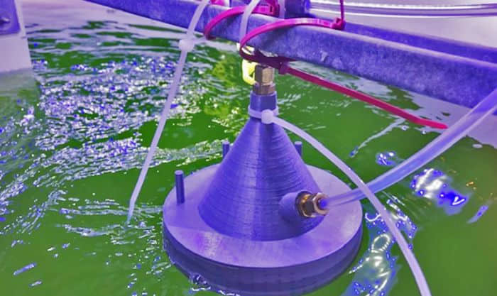 基于CIMS的水产养殖技术可不断地检查水藻是否健康