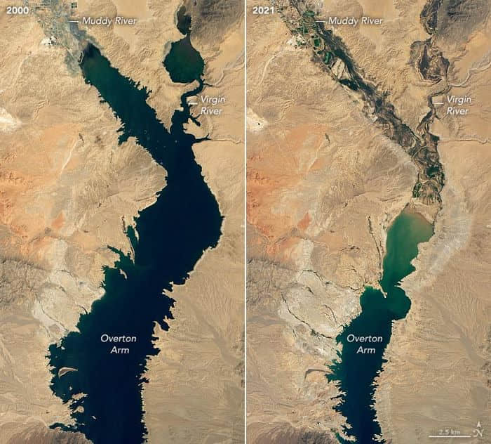 研究：美国最大的水库米德湖水位降至历史最低点