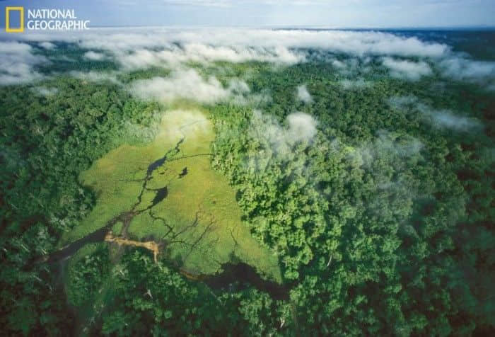 科学家开发衡量热带森林脆弱性的新方法 避免临界点