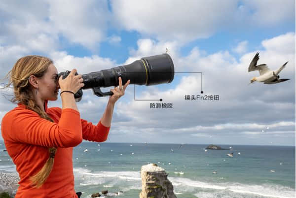 尼康发布全新打鸟利器Z 800mm f/6.3 VR S：重量价格直接砍半
