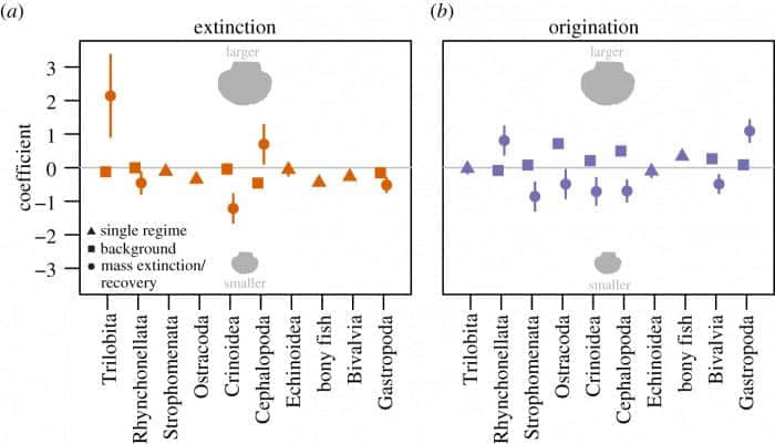 研究揭示生物大灭绝后灭绝和起源模式发生的变化