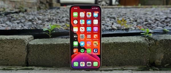 iPhone 13专属！十三香保护壳上架：有库克和王守义头像