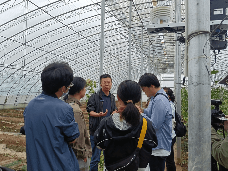 中国蔬菜第一县数字化，山东农民没有押错宝