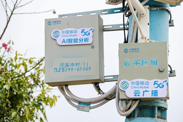 通信山海行 云南数字乡村媒体探营：乡村振兴背后的数字之力