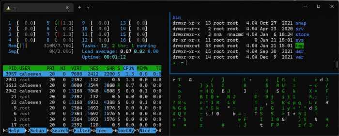 微软推送KB5014678更新：WSL2正式登陆Windows Server 2022