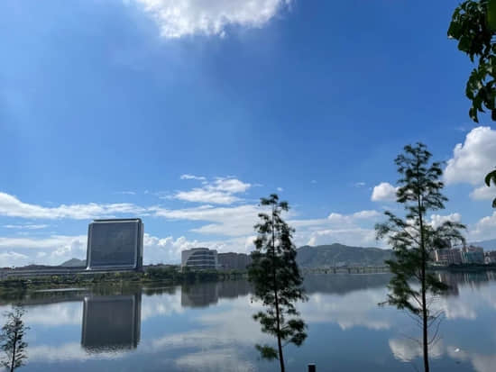解码宁德时代