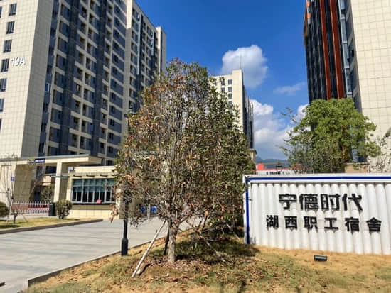 解码宁德时代