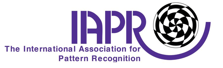 聂礼强、齐国君、林倞入选！12 位华人新晋 2022 IAPR Fellow，超过半数