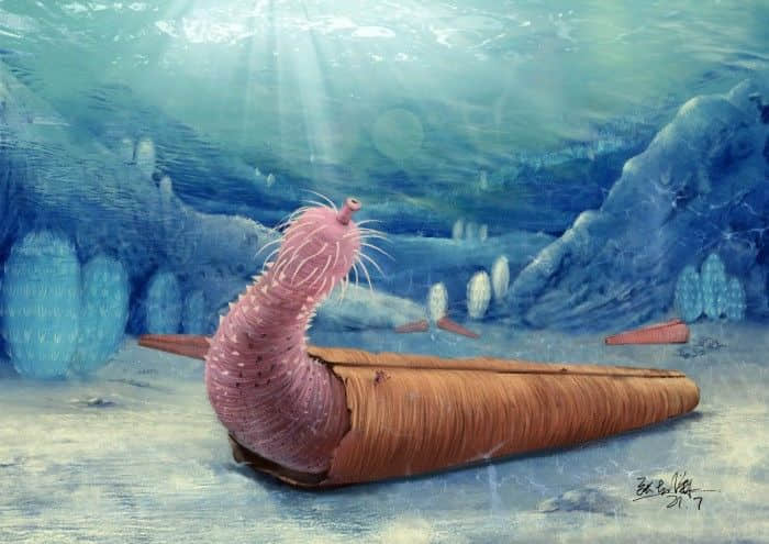 古生物学家发现5亿年前的一种蠕虫是寄居蟹的祖师爷