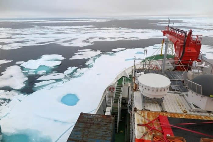 研究：夏季北极“最后的冰区”易受气候变化的影响