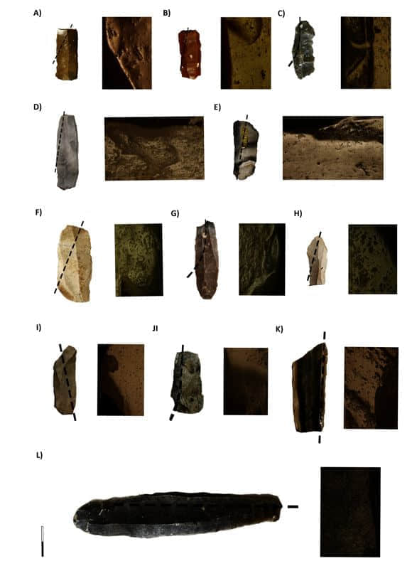 埋在坟墓里的石器是5000年前欧洲性别分工的证据
