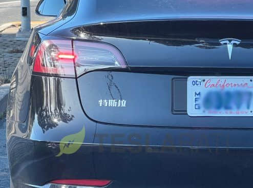 “特斯拉”中文瞩目 国产Model 3现身美国旧金山