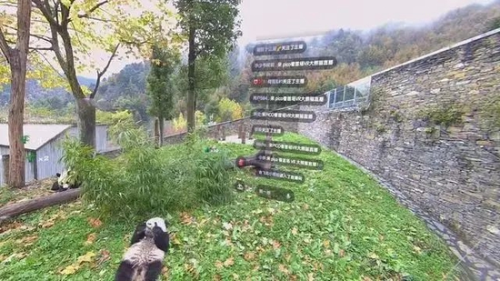 突破千万大关之后：被误读、被低估的VR