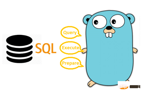 关于Go SQL中的Query、Exec和Prepare使用对比（附网络抓包）