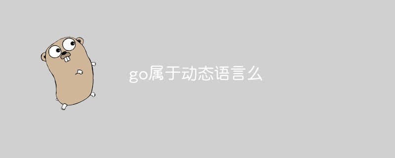 go属于动态语言么