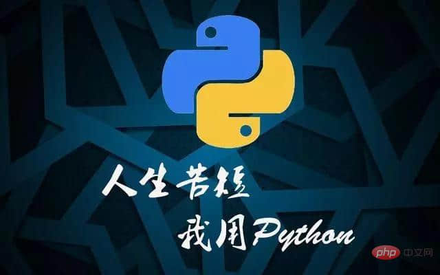 python11.jpg